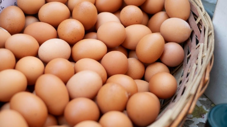 Cuántos huevos se pueden comer al día, según un cardiólogo